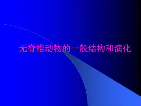 无脊椎动物的一般结构和进化_2022年学习资料