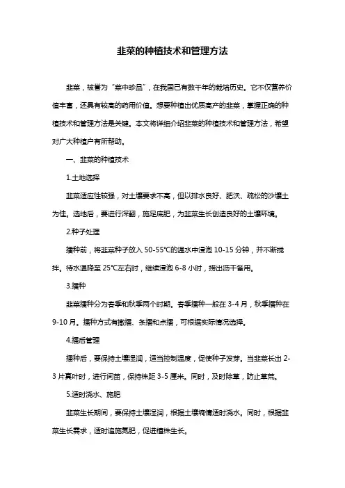 韭菜的种植技术和管理方法