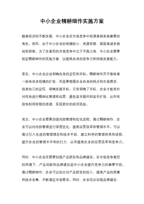 中小企业精耕细作实施方案