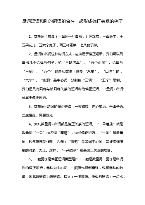 量词短语和别的词语组合在一起形成偏正关系的例子