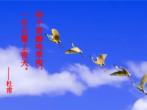 望岳春望(全国公开课一等奖)