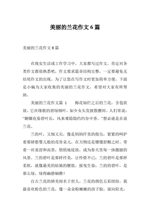 美丽的兰花作文6篇