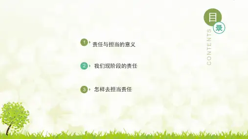 大学生的责任与担当ppt课件