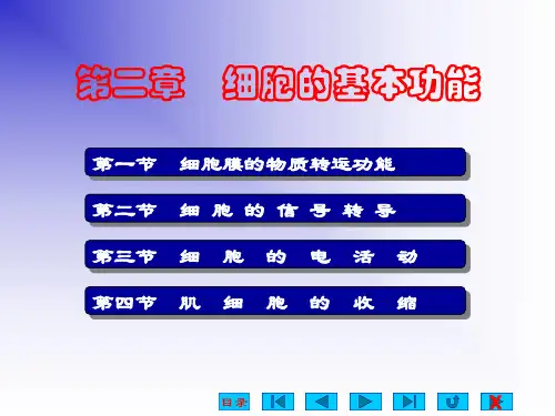 细胞的基本功能   ppt课件