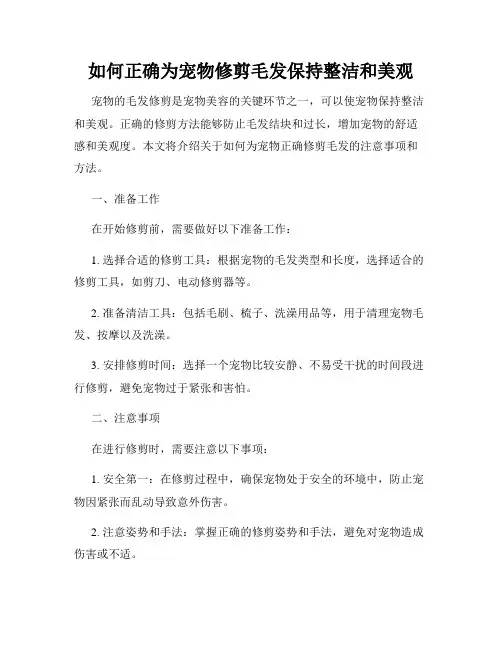 如何正确为宠物修剪毛发保持整洁和美观