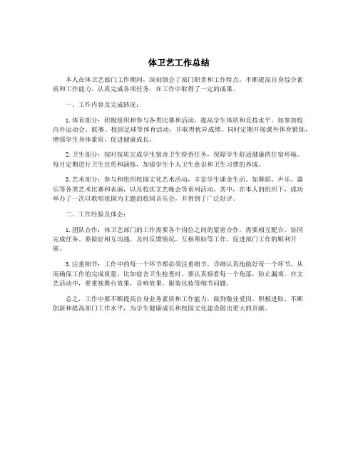 体卫艺工作总结