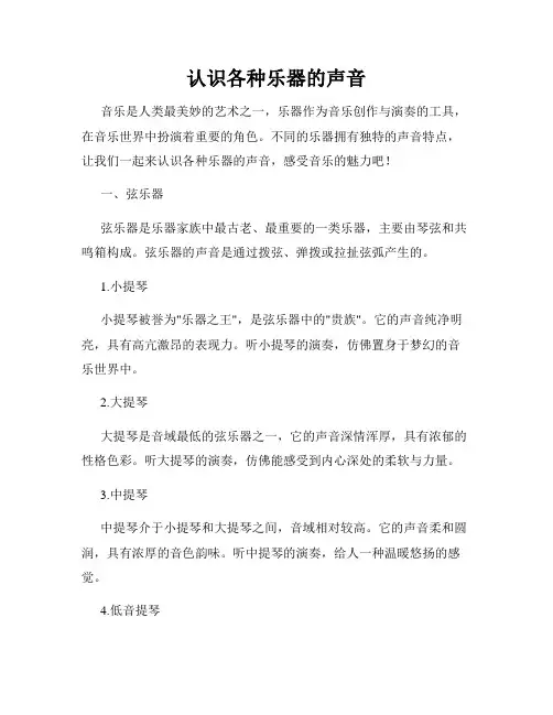 认识各种乐器的声音