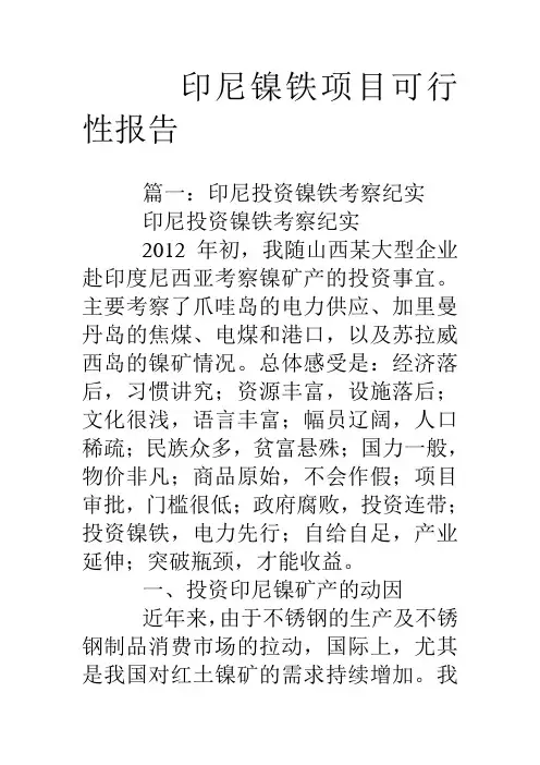 印尼镍铁项目可行性报告