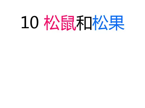 10 松鼠和松果