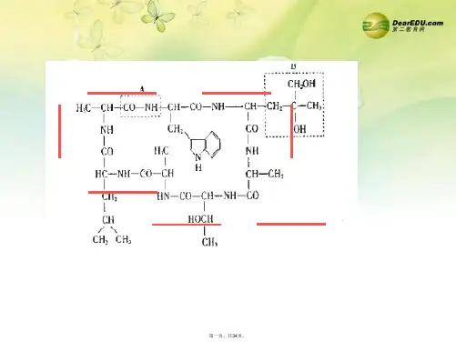 高中生物 第二章 第二节 细胞膜和细胞壁课件 浙科版必修1