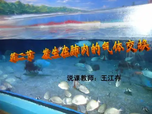 发生在肺内的气体交换(说课稿)王江存
