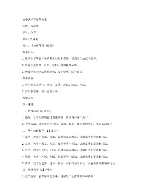 初中武术青年拳教案