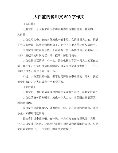 大白鲨的说明文500字作文
