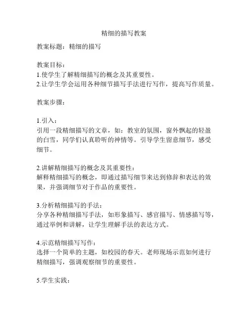 精细的描写教案
