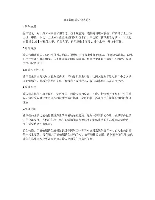 解剖输尿管知识点总结
