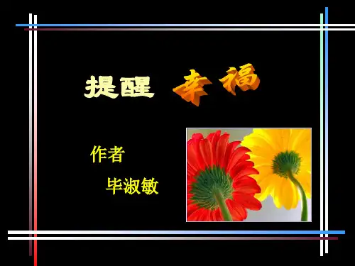 《提醒幸福》ppt