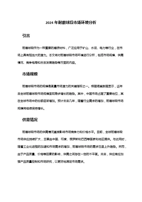 2024年耐磨球段市场环境分析