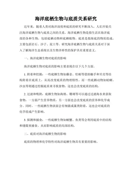 海洋底栖生物与底质关系研究