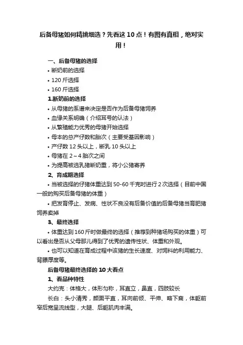 后备母猪如何精挑细选？先看这10点！有图有真相，绝对实用！