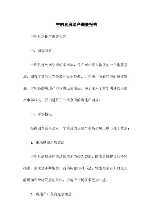 宁明县房地产调查报告