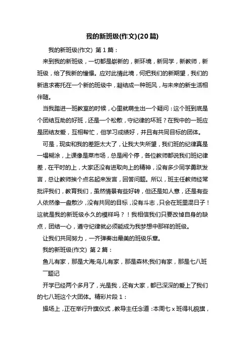 最新我的新班级(作文)(20篇)