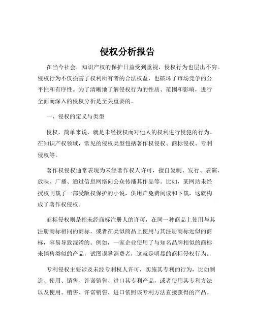 侵权分析报告