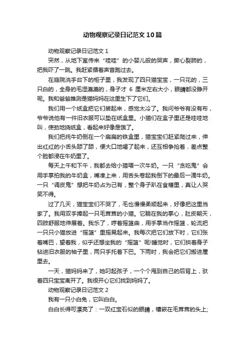 动物观察记录日记范文10篇