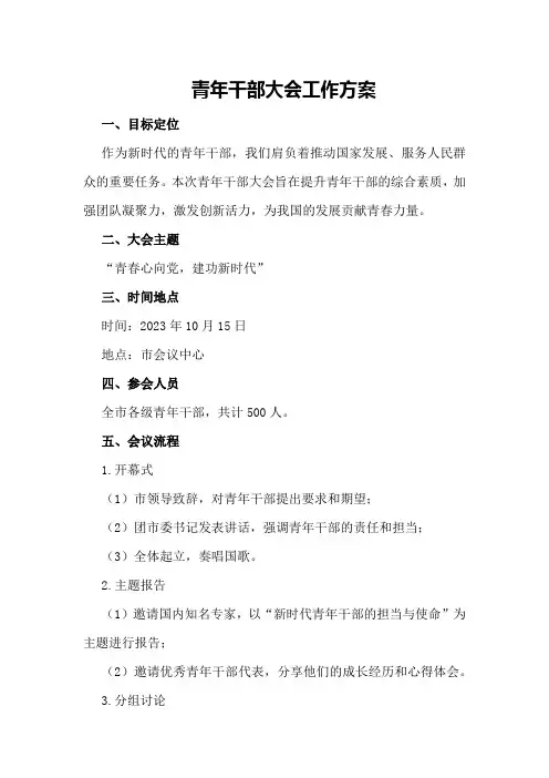 青年干部大会工作方案