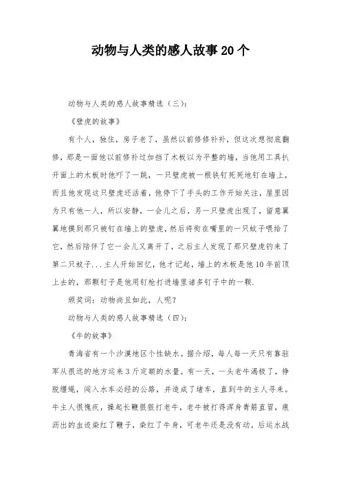 动物与人类的感人故事20个
