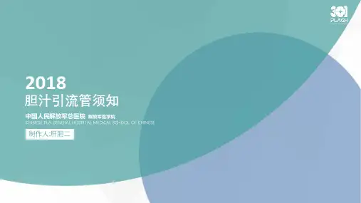 胆汁引流管须知