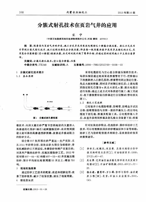分簇式射孔技术在页岩气井的应用