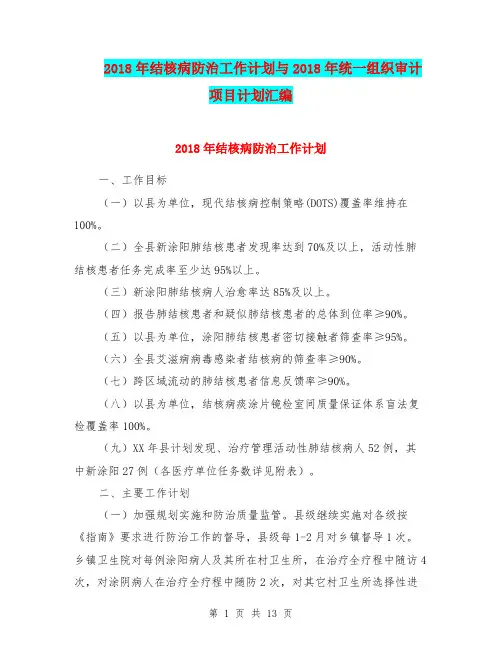 2018年结核病防治工作计划与2018年统一组织审计项目计划汇编