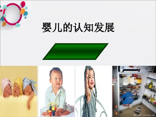 婴儿认知的发展ppt课件