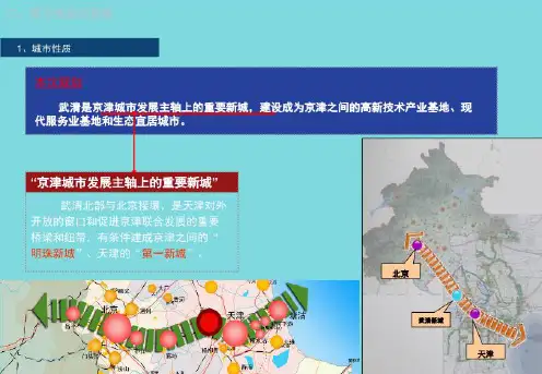 二天津市武清区城市性质与规模(共5张PPT)