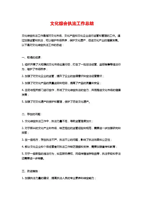 文化综合执法工作总结