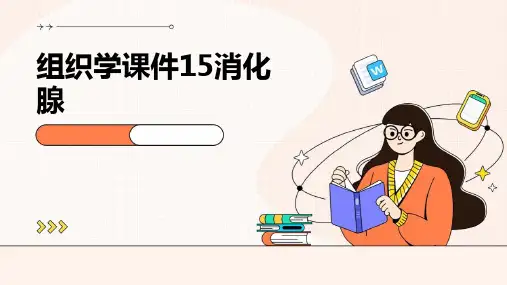 组织学课件15消化腺上