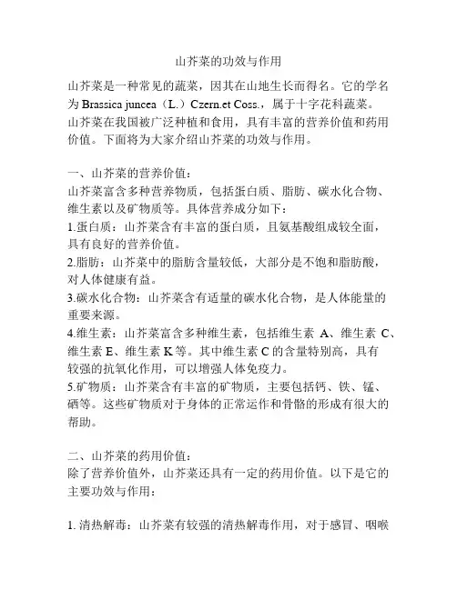 山芥菜的功效与作用