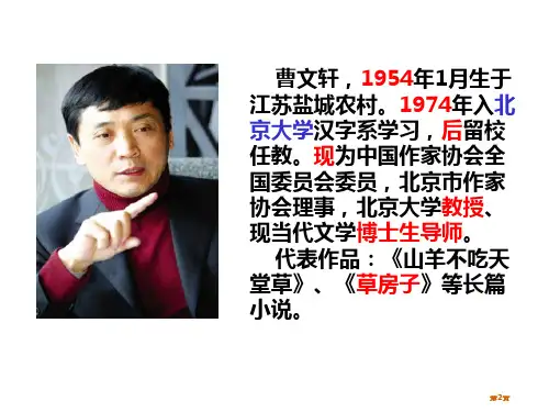 孤独之旅1市公开课一等奖省优质课获奖课件