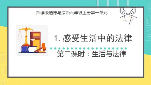 人教部编版道德与法治六年级上册1《感受生活中的法律》第二课时课件