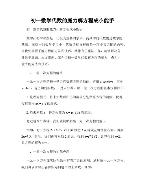 初一数学代数的魔力解方程成小能手