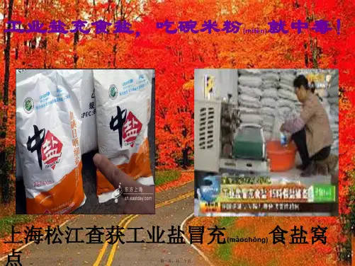 八年级化学 酸碱盐的检验复习课件 