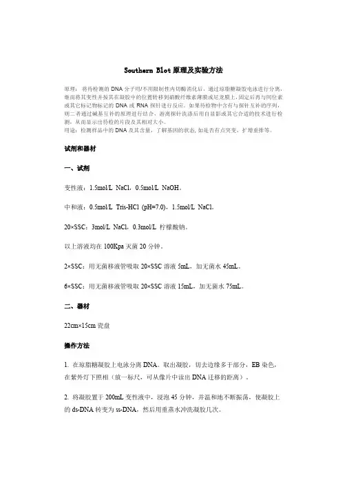 Southern Blot原理及实验方法