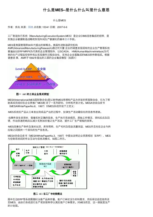 什么是MES--是什么什么叫是什么意思