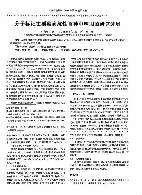 分子标记在稻瘟病抗性育种中应用的研究进展