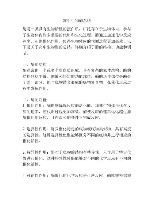 高中生物酶总结