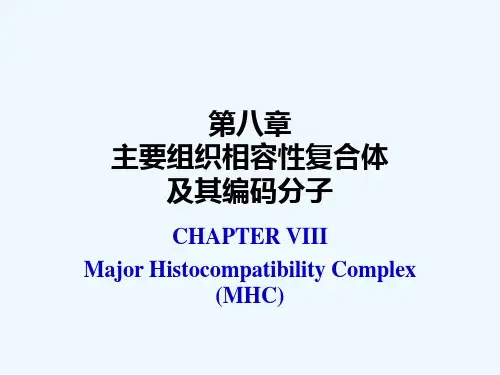 第八章主要组织相容性复合体及其编码分子