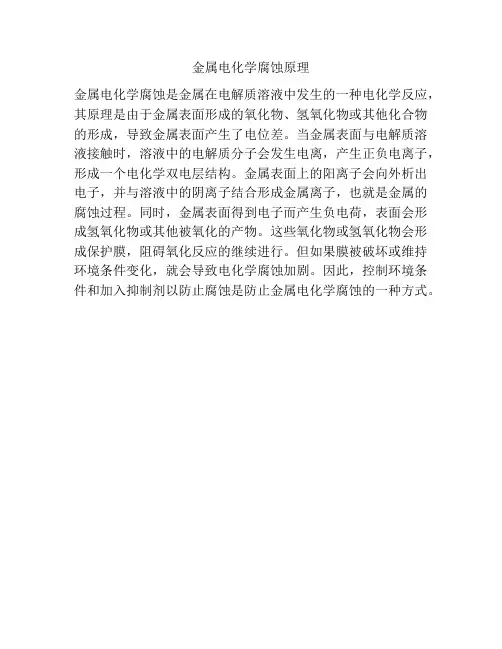 金属电化学腐蚀原理