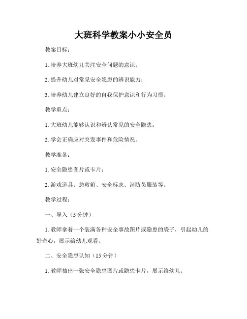 大班科学教案小小安全员