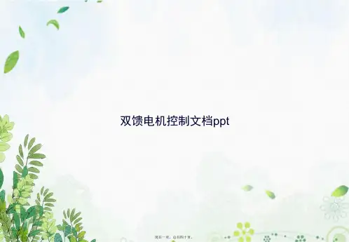双馈电机控制讲课文档