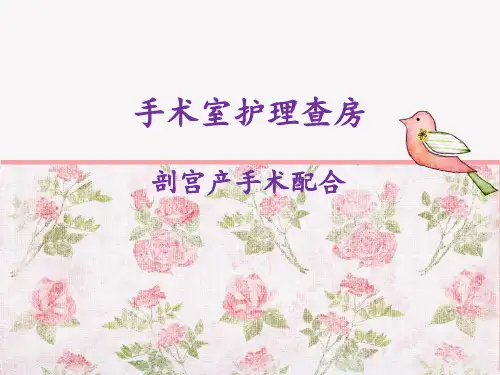 手术室的护理查房 PPT课件